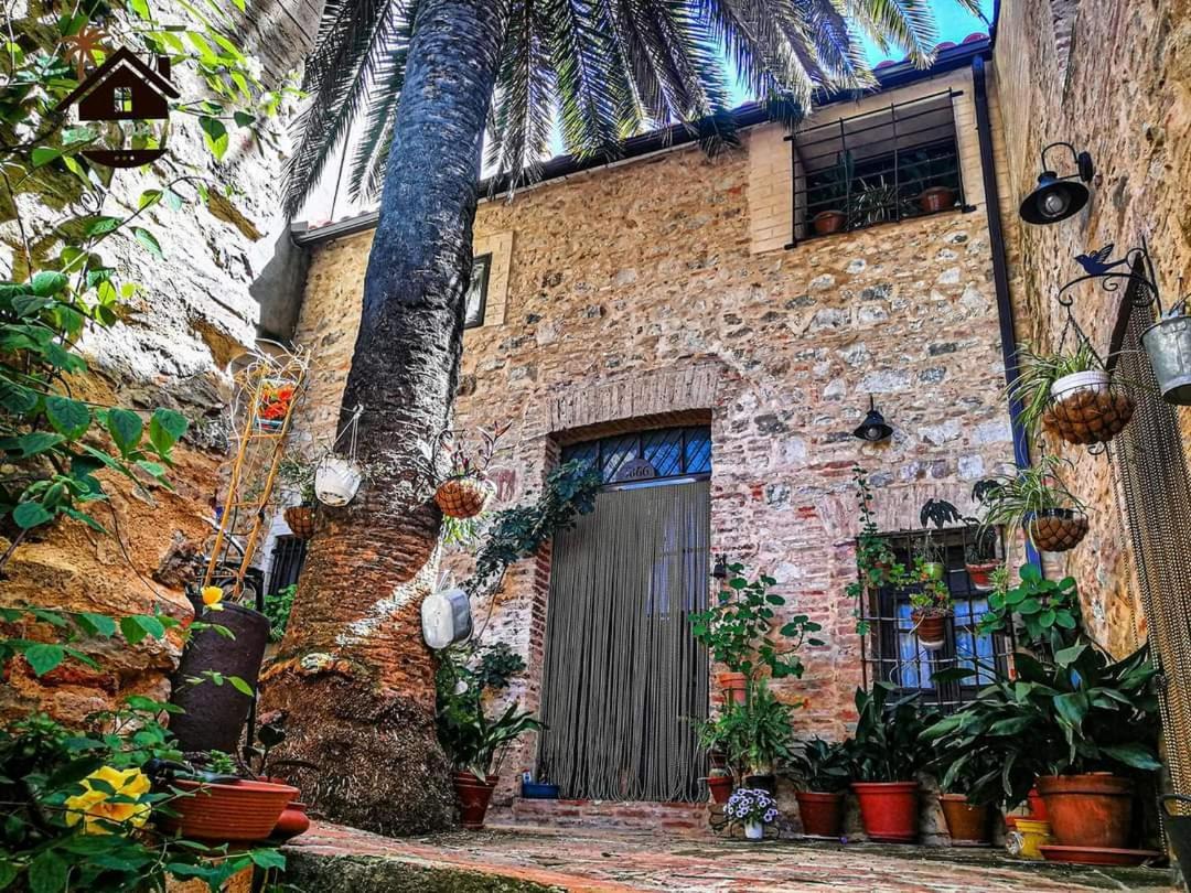 Hotel Rural Tocampavi Chillon 외부 사진